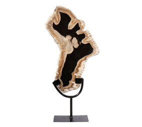 Versteend hout schijf gepolijst op standaard 31,5 x 19,5 x 2,4 cm | 2093 gram