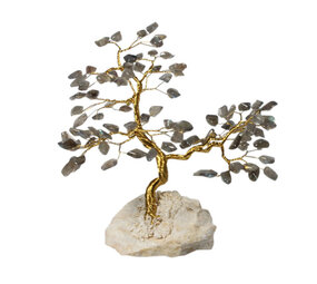 Labradoriet edelsteen boompje op steen