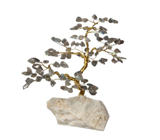 Labradoriet edelsteen boompje op steen