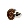 Zilveren ring ammoniet fossiel maat 17 1/2 | 2,1 x 1,8 cm