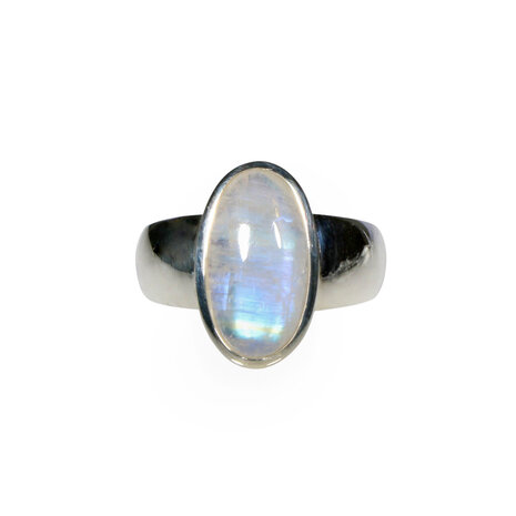 Zilveren ring maansteen (regenboog) maat 19 1/2 | ovaal 1,7 x 0,9 cm