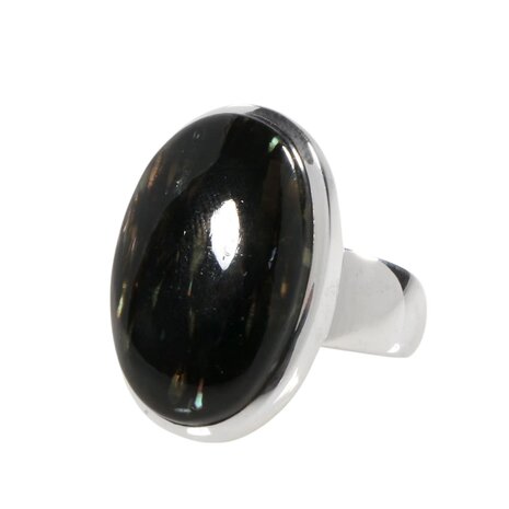 Zilveren ring nuummiet maat 17 | ovaal 2,3 x 1,5 cm