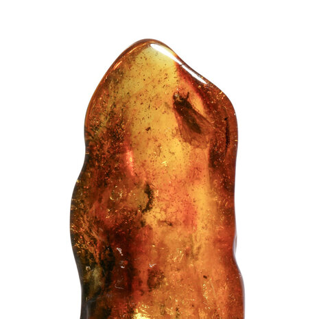 Barnsteen gepolijst met 1 vlieg | 6,2 x 2,6 x 1,4 cm | 12 gram