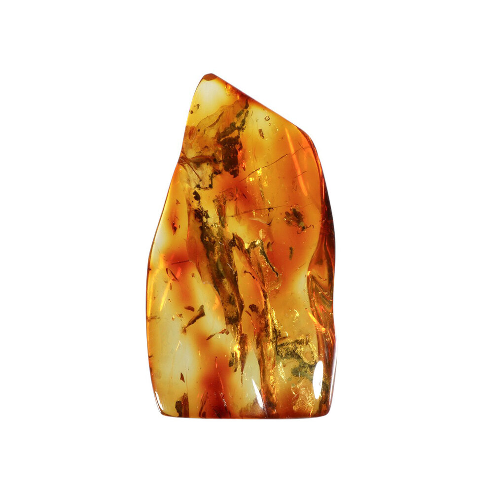 Barnsteen gepolijst met 1 vlieg | 6,6 x 3,6 x 1,2 cm | 16 gram