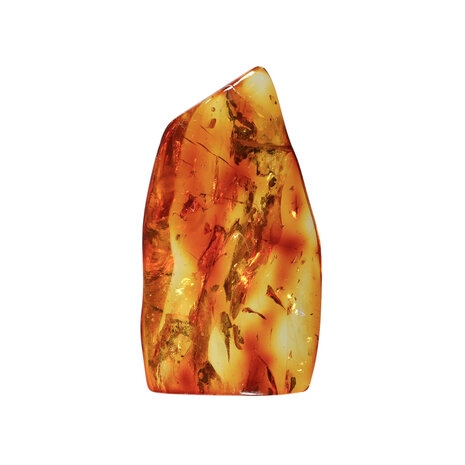 Barnsteen gepolijst met 1 vlieg | 6,6 x 3,6 x 1,2 cm | 16 gram