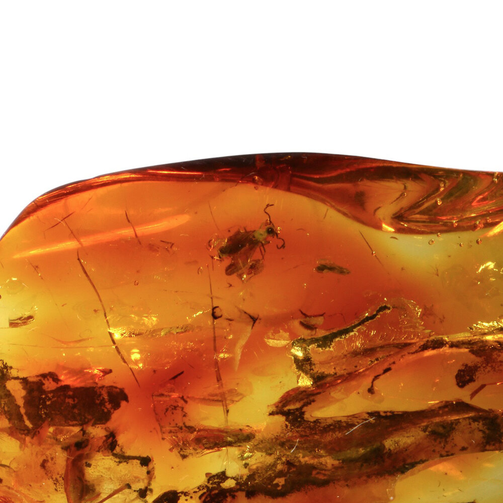 Barnsteen gepolijst met 1 vlieg | 6,6 x 3,6 x 1,2 cm | 16 gram