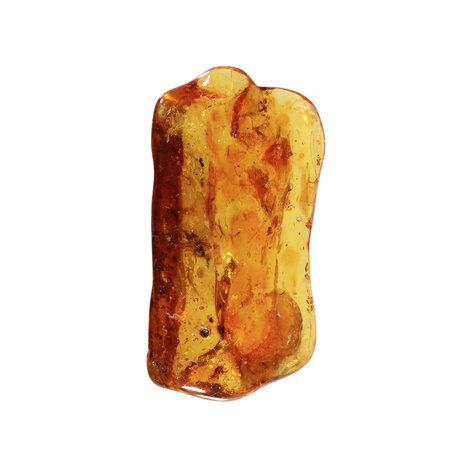 Barnsteen gepolijst met 1 vlieg en 1 spin | 6,7 x 3,6 x 1,7 cm | 19 gram