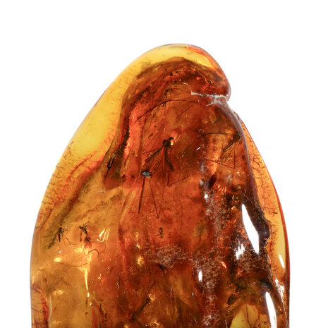 Barnsteen gepolijst met 1 mug en 5 vliegjes | 9,3 x 4,2 x 1,5 cm | 31 gram