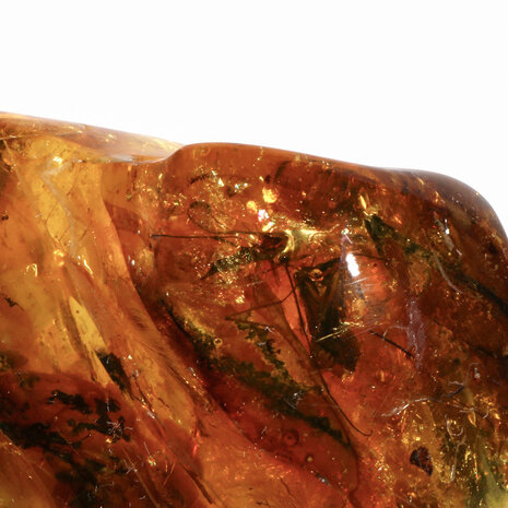 Barnsteen gepolijst met 1 mug en 3 vleugels | 7,6 x 5,1 x 3,5 cm | 71 gram Barnsteen gepolijst met 1 mug en 3 vleugels | 7,6 x 5,1 x 3,5 cm | 71 gram