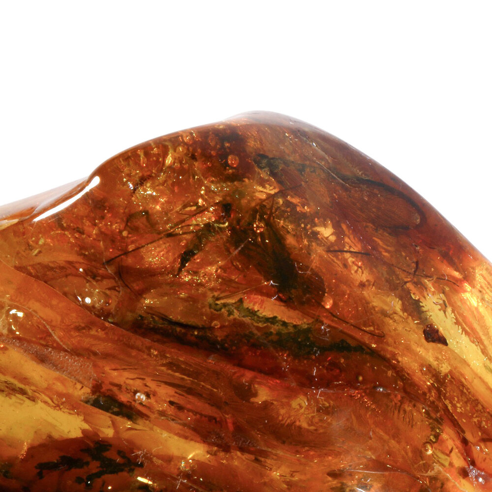 Barnsteen gepolijst met 1 mug en 3 vleugels | 7,6 x 5,1 x 3,5 cm | 71 gram Barnsteen gepolijst met 1 mug en 3 vleugels | 7,6 x 5,1 x 3,5 cm | 71 gram