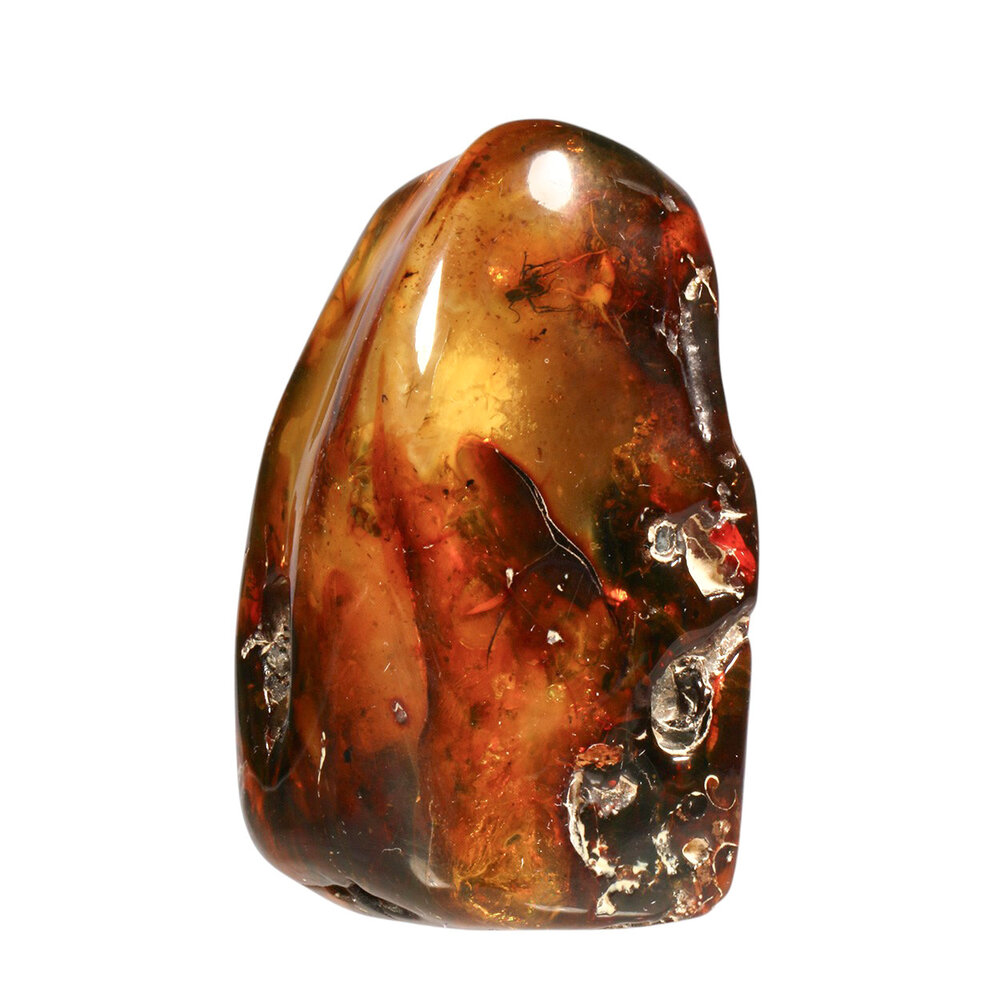 Barnsteen gepolijst met 1 vlieg en 5 mieren | 8,4 x 5,1 x 4,6 cm | 149 gram