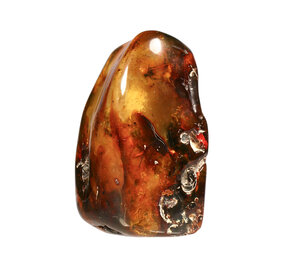 Barnsteen gepolijst met 1 vlieg en 5 mieren | 8,4 x 5,1 x 4,6 cm | 149 gram