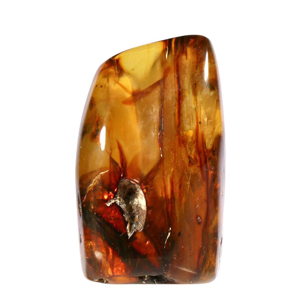 Barnsteen gepolijst met 1 vlieg en 5 mieren | 8,4 x 5,1 x 4,6 cm | 149 gram