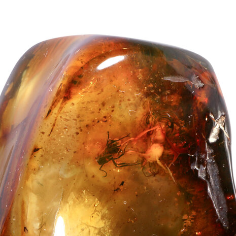 Barnsteen gepolijst met 1 vlieg en 5 mieren | 8,4 x 5,1 x 4,6 cm | 149 gram