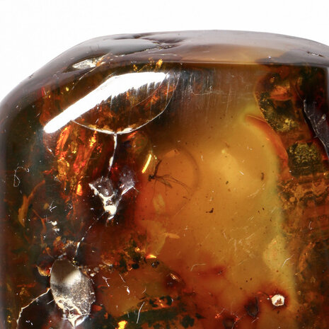 Barnsteen gepolijst met 1 vlieg en 5 mieren | 8,4 x 5,1 x 4,6 cm | 149 gram