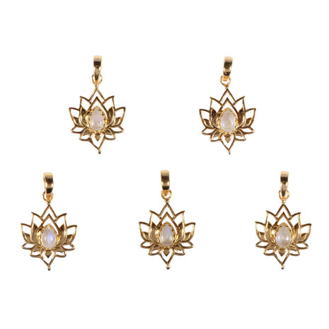 Vergulde hanger lotus met maansteen (regenboog)