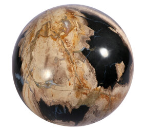 Versteend hout bol 150 mm | 4540 gram Versteend hout bol 150 mm | 4540 gram