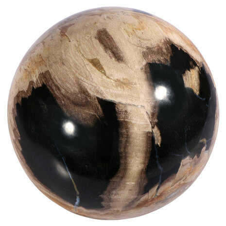 Versteend hout bol 150 mm | 4540 gram Versteend hout bol 150 mm | 4540 gram