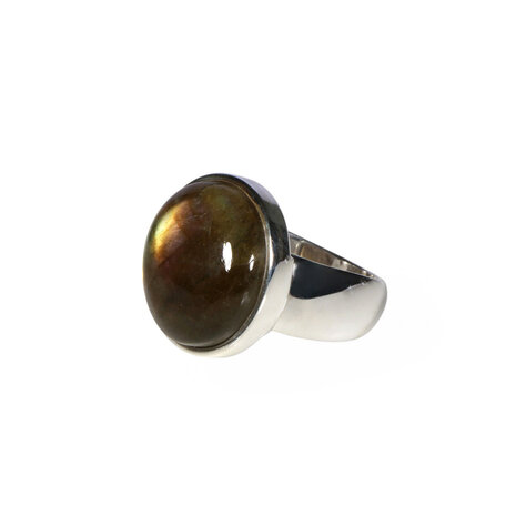 Zilveren ring labradoriet maat 17 | rond 1,6 cm