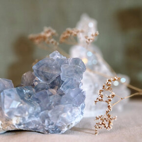 Herinnering & Troost