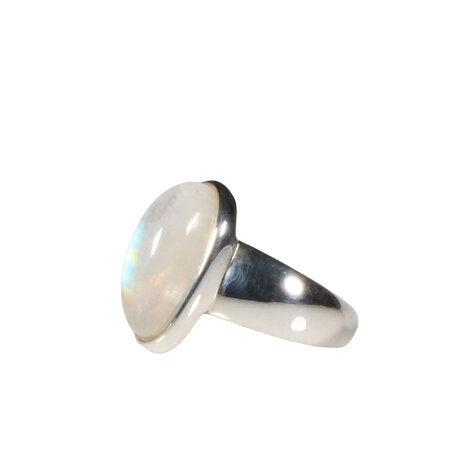 Zilveren ring maansteen (regenboog) maat 17 | ovaal 1,7 x 0,9 cm