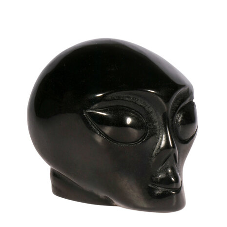 Obsidiaan (zilver) alien schedel 8,8 x 6,1 x 6,5 cm | 403 gram