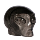 Obsidiaan (zilver) alien schedel 10,5 x 7,7 x 8 cm | 787 gram
