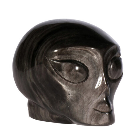 Obsidiaan (zilver) alien schedel 10,5 x 7,7 x 8 cm | 787 gram