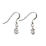 Zilveren oorbellen Herkimer diamant