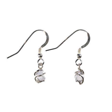 Zilveren oorbellen Herkimer diamant