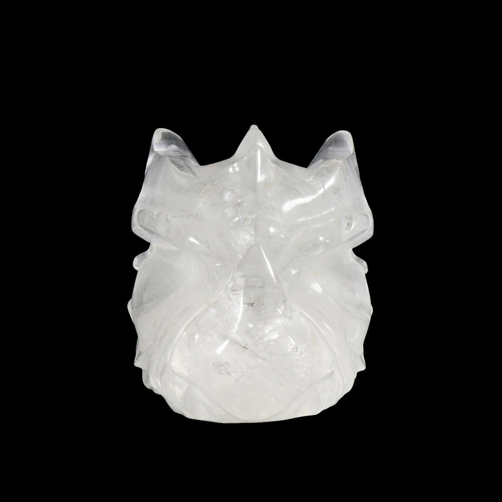 Bergkristal draken schedel 12 x 6 x 6,5 cm | 497 gram Bergkristal draken schedel 12 x 6 x 6,5 cm | 497 gram