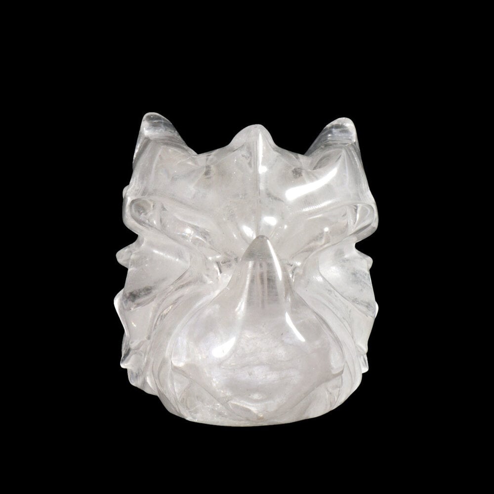 Bergkristal draken schedel 12 x 6 x 6,5 cm | 513 gram Bergkristal draken schedel 12 x 6 x 6,5 cm | 513 gram