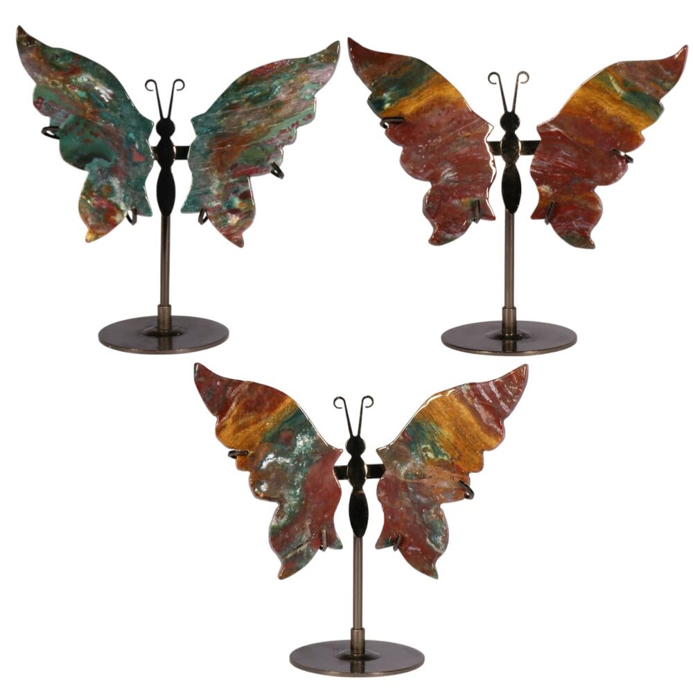 Jaspis (oceaan) vlinder op standaard Jaspis (oceaan) vlinder op standaard