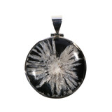 Zilveren hanger chrysant | rond 3,7 cm