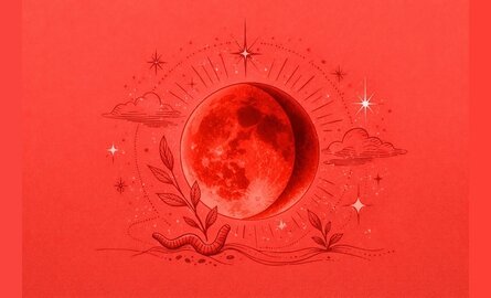 Volle Maan 3 maart 2026 – Wormmaan & Totale Maansverduistering