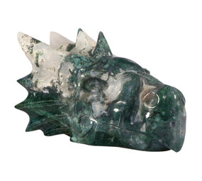 Mosagaat draken schedel 22 x 12 x 9,5 cm | 4587 gram