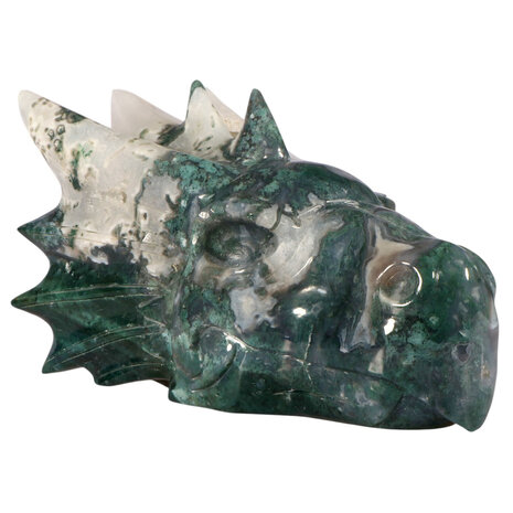 Mosagaat draken schedel 22 x 12 x 9,5 cm | 4587 gram