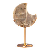 Maansteen maan op standaard (goudkleurig ) 10,2 x 10,1 x 1,3 cm | 288 gram