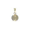 Citrien hanger rond 12 mm met 14k gouden oogje