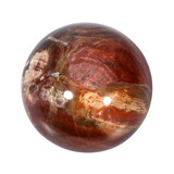 Versteend hout bol 69 mm | 462 gram Versteend hout bol 69 mm | 462 gram