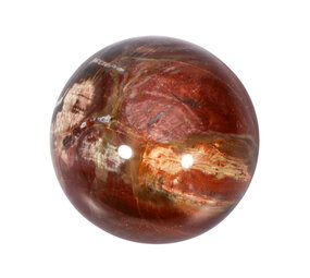 Versteend hout bol 69 mm | 462 gram Versteend hout bol 69 mm | 462 gram