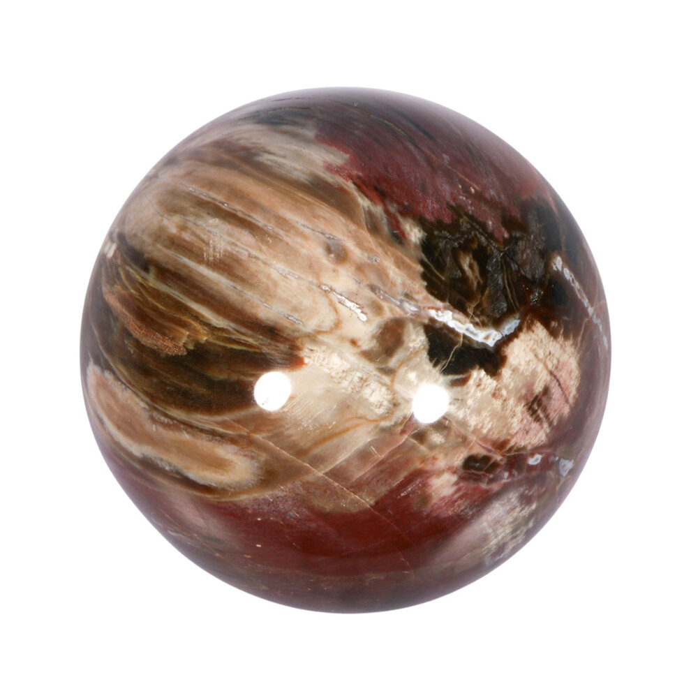 Versteend hout bol 69 mm | 462 gram Versteend hout bol 69 mm | 462 gram