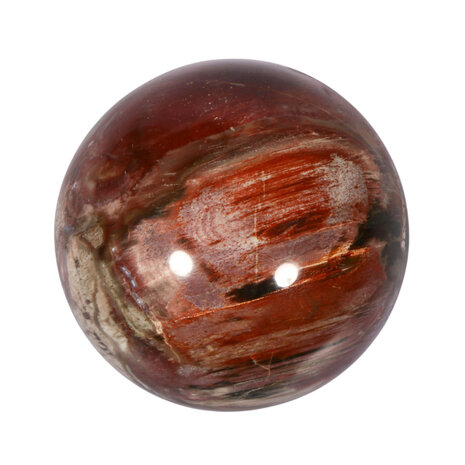 Versteend hout bol 69 mm | 462 gram Versteend hout bol 69 mm | 462 gram