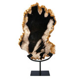 Versteend hout schijf gepolijst op standaard 35,8 x 23,3 x 2 cm | 3648 gram Versteend hout schijf gepolijst op standaard 35,8 x 23,3 x 2 cm | 3648 gram