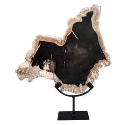 Versteend hout schijf gepolijst op standaard 37,4 x 33,7 x 2 cm | 3825 gram Versteend hout schijf gepolijst op standaard 37,4 x 33,7 x 2 cm | 3825 gram