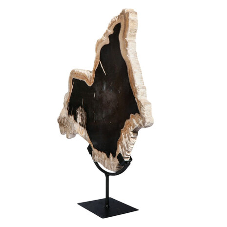 Versteend hout schijf gepolijst op standaard 37,4 x 33,7 x 2 cm | 3825 gram Versteend hout schijf gepolijst op standaard 37,4 x 33,7 x 2 cm | 3825 gram