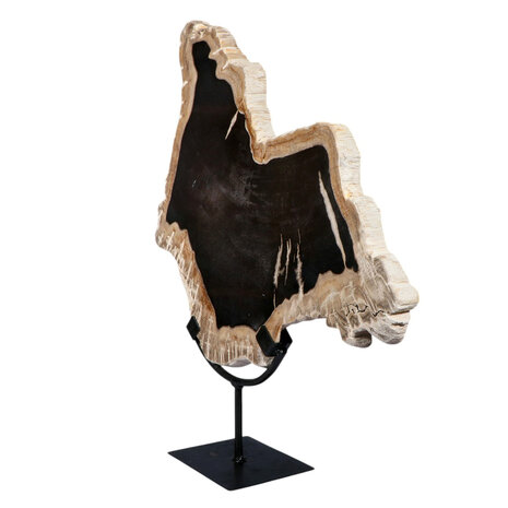 Versteend hout schijf gepolijst op standaard 37,4 x 33,7 x 2 cm | 3825 gram Versteend hout schijf gepolijst op standaard 37,4 x 33,7 x 2 cm | 3825 gram