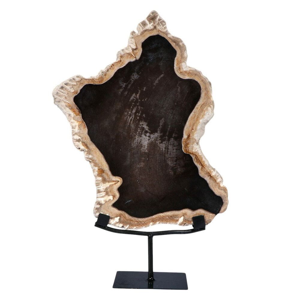 Versteend hout schijf gepolijst op standaard 35,5 x 27 x 2 cm | 3921 gram Versteend hout schijf gepolijst op standaard 35,5 x 27 x 2 cm | 3921 gram