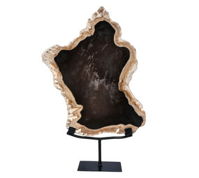 Versteend hout schijf gepolijst op standaard 35,5 x 27 x 2 cm | 3921 gram Versteend hout schijf gepolijst op standaard 35,5 x 27 x 2 cm | 3921 gram