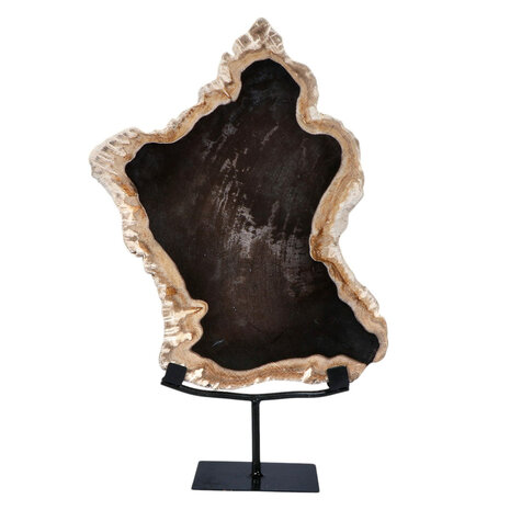 Versteend hout schijf gepolijst op standaard 35,5 x 27 x 2 cm | 3921 gram Versteend hout schijf gepolijst op standaard 35,5 x 27 x 2 cm | 3921 gram